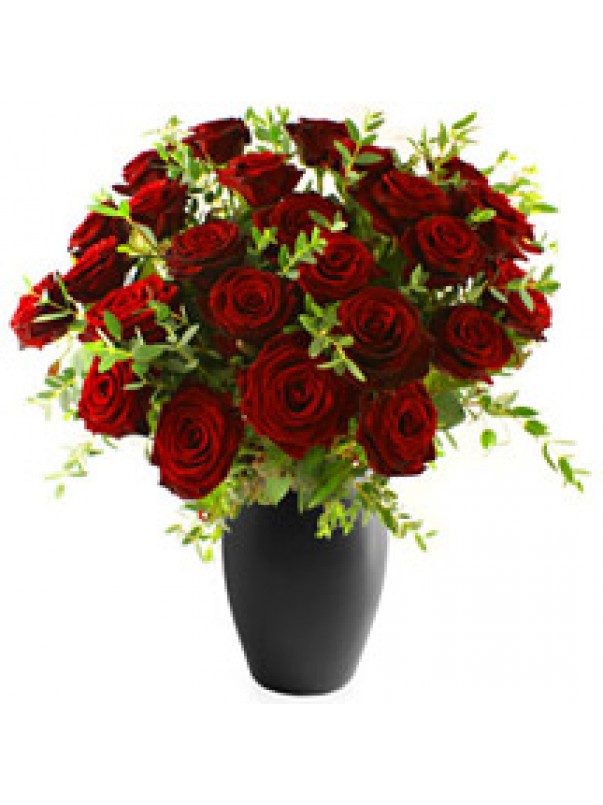 Same Day Roses