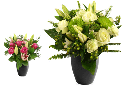 Lilies Flowers