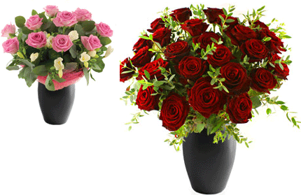 Roses
