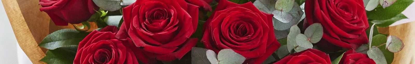 Same Day Flowers