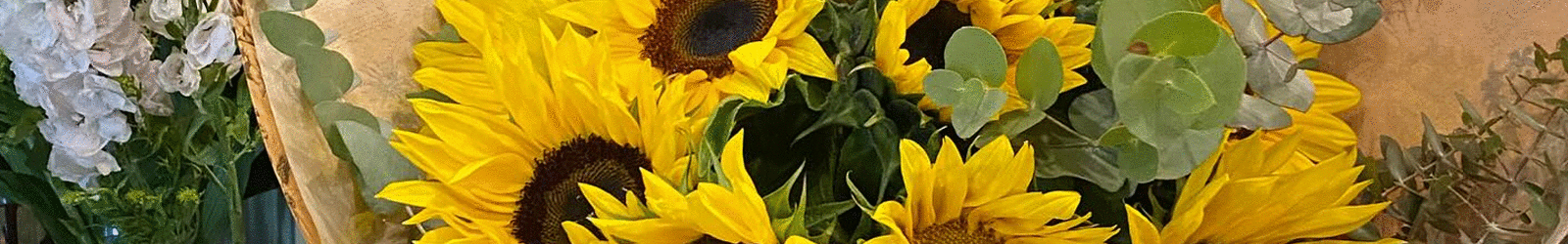 Next Day Flowers
