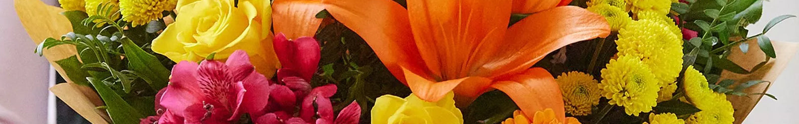 Spring Flowers