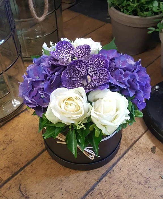 Vanda Orchid Hatbox