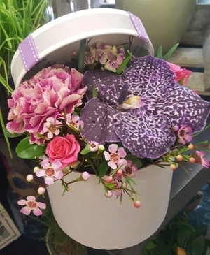 Baby Girl Hatbox