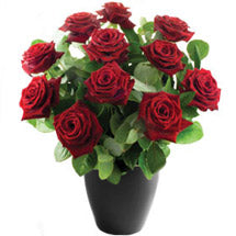 Dozen Red Roses