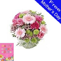 Rose & Gerbera Handtied