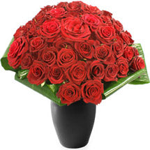 Romeo 36 Red Roses