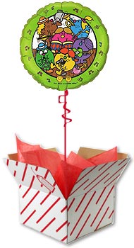 Little Miss Balloon in a box
