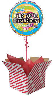 It's Your Birthday! Balloon
