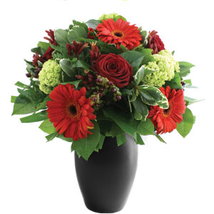 Scarlet