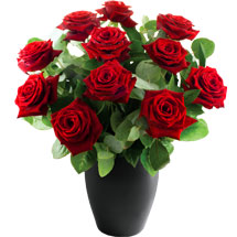 12 Deluxe Red Roses