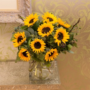 Spring Me Sunshine