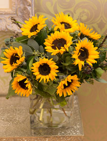 Spring Me Sunshine