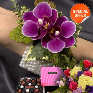 DEBS SPECIALOFFER
