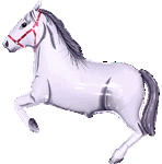 SUPER SHAPE LOOSE HORSE WHITE