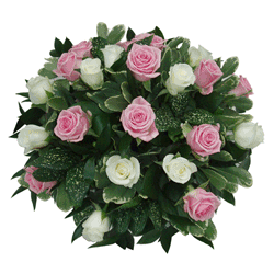Pink Posy