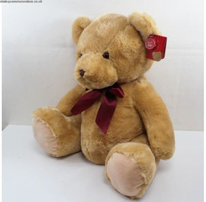 Medium Soft Teddy Bear (20