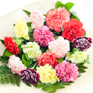 Mixed Colour Carnations