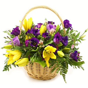 Spring Basket