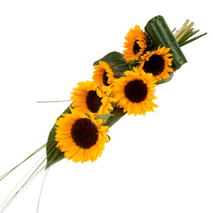 Sunflowers By The Stem