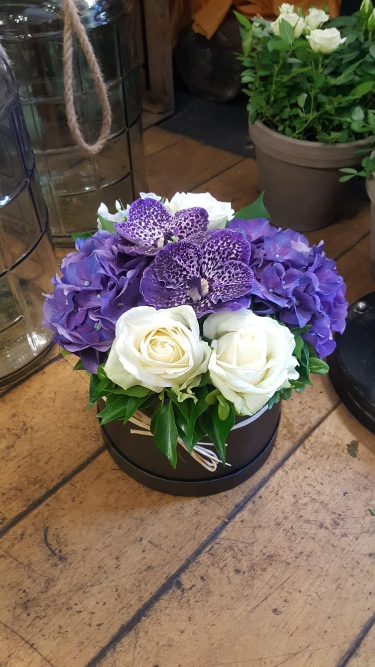 Vanda Orchid Hatbox