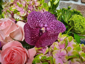 Purple Orchid Crate
