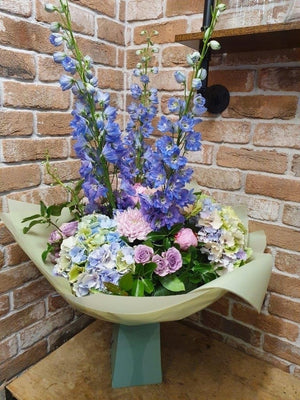Delphinium Delight