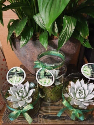 Glow In the Dark Succulent Arrangement
