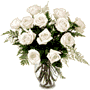 Dozen White Roses