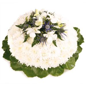 Classic White Posy